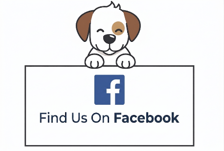 CS FB logo
