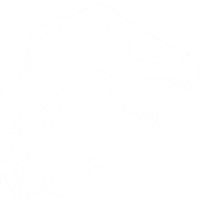 dinosaur skeleton